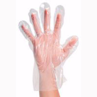 Food Service Glove