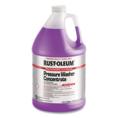 Professional Pressure Washer Concentrate Multi-Purpose, 1 ga