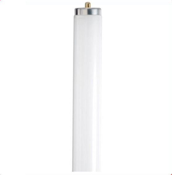 Fluorescent Tube 4 ft T8 Daylight