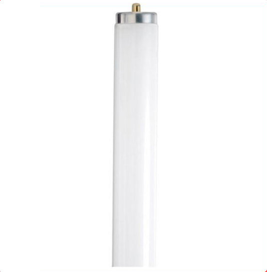 Fluorescent Tube 4 ft T8 Daylight