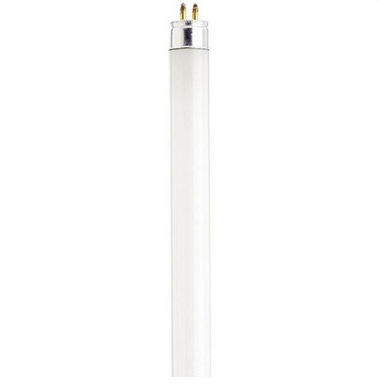 Fluorescent Tube 1 ft T5 Lamp Single