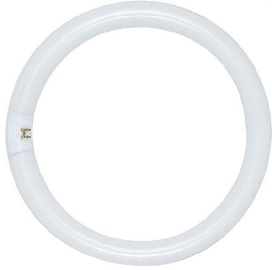 Circline Fluorescent - 22 watt - T9