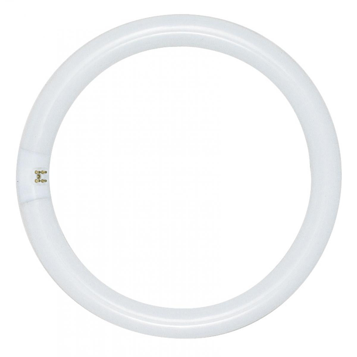 Circline Fluorescent - 22 watt