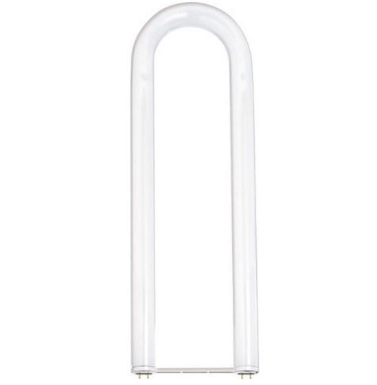 U-Bend Fluorescent Light Bulb